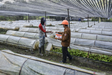 Kepedulian Perhutani kepada mitra kerja
