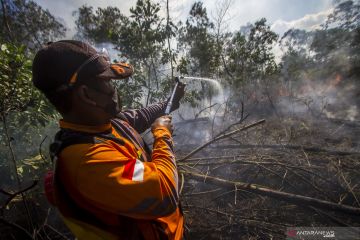 Dishut Kalsel bentuk 129 masyarakat peduli api tangani karhutla