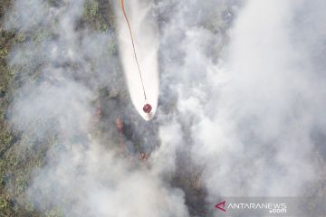 KLHK catat 2 ribu hektare lahan di Sumsel terbakar selama 2021