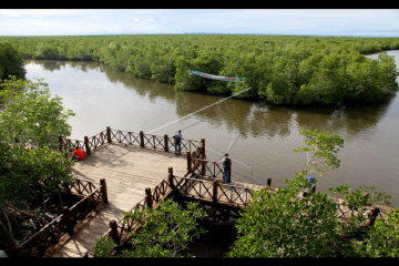 Aceh tingkatkan kegiatan "silvofishery" di kawasan hutan mangrove
