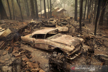 Dampak kebakaran hutan di Amerika Serikat
