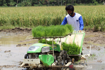 Lampung siap tingkatkan indeks pertanaman padi di tahun 2022