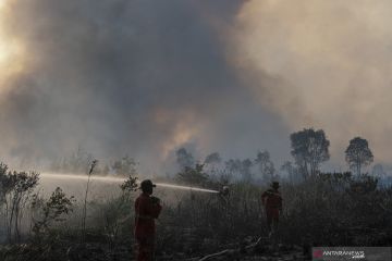 Kebakaran Lahan di Ogan Ilir