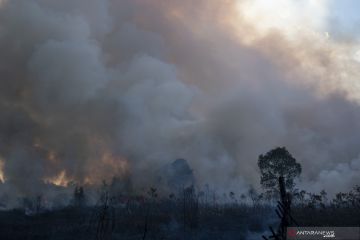 Kebakaran Lahan di Ogan Ilir