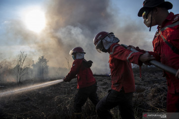 Kebakaran Lahan di Ogan Ilir