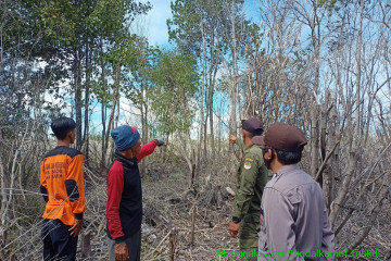 TNBKDS Kapuas Hulu siagakan pos pemantauan dan penanggulangan karhutla