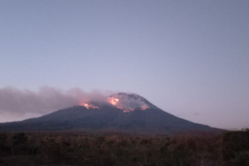Erupsi Lewotolok menyebabkan kebakaran hutan