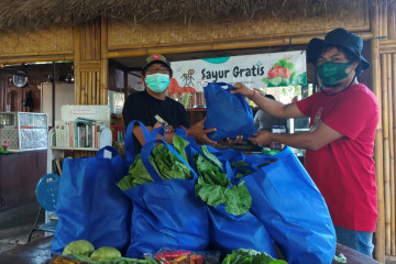 Petani Songan-Bangli berbagi sayuran gratis untuk warga  Kota Denpasar