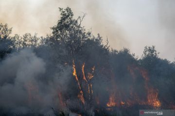 PEMADAMAN KEBAKARAN LAHAN DI PULAU SEMAMBU
