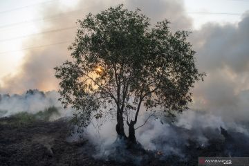 PEMADAMAN KEBAKARAN LAHAN DI PULAU SEMAMBU