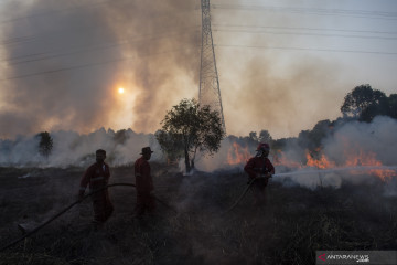 PEMADAMAN KEBAKARAN LAHAN DI PULAU SEMAMBU