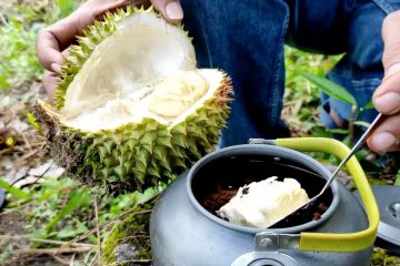 Kopi durian, cara lain menikmati buah durian