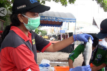 BKIPM Palangka Raya gelar penyuluhan mutu ikan