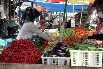 Kebutuhan pangan di Palangka Raya alami kenaikan wajar