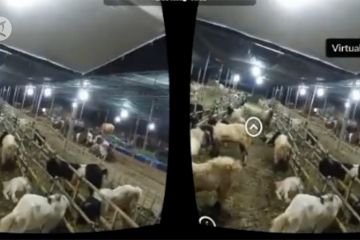 Penjualan hewan kurban di Surabaya gunakan teknologi realitas maya
