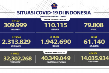 Kasus harian COVID-19 RI tembus 29.745 orang