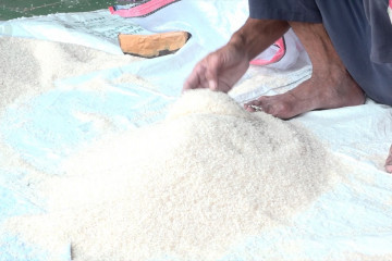 Penjualan beras anjlok selama PPKM Jawa-Bali