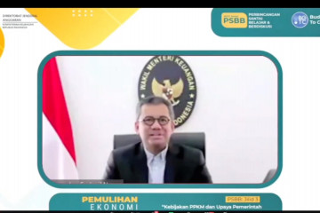 Wamenkeu: Fleksibilitas APBN penting di masa pandemi