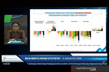 BPS: Mobilitas perdagangan, ritel, dan rekreasi, turun pada Juli 2021