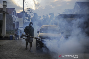 Kasus DBD di Jawa Barat tertinggi di Indonesia