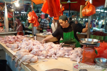 Harga daging ayam ras turun, Kalbar alami deflasi pada Juli