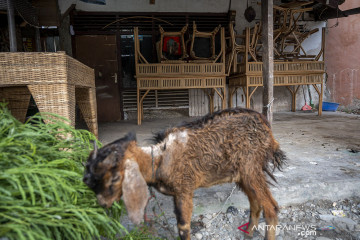 Usaha Mebel Rotan di Palu Tunggu Pandemi Reda