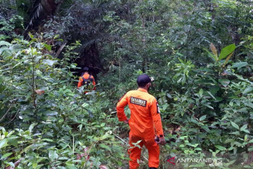 Basarnas cari lansia 60 tahun hilang di hutan Konawe