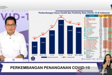 Delapan provinsi alami penurunan penularan COVID-19