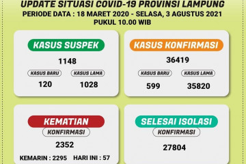 Dinkes: Pasien COVID-19 di Lampung bertambah 599 kasus