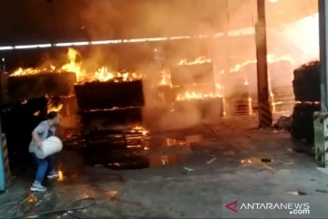 Dua gudang triplek di Tangerang hangus terbakar