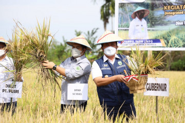 Sumatera Selatan ditargetkan jadi lumbung pangan nasional