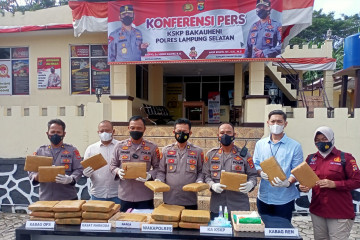 Polisi sita ganja seberat 28 kilogram di Pelabuhan Bakauheni