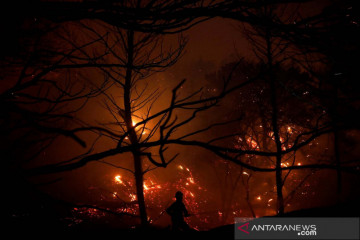 Kebakaran hutan di Athena Yunani
