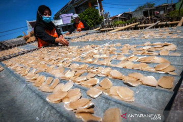 Produksi Kerupuk Cumi