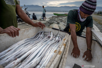 KKP rintis Kampung Ikan Dewa di Sumedang Jabar