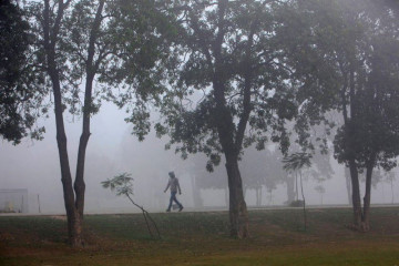 Lawan polusi, Pakistan akan tanam 10 miliar pohon