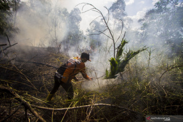 Menyikapi lahan tak bertuan penyebab karhutla