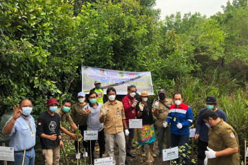 Pertamina Gas Kalimantan gelar aksi pelestarian ekosistem mangrove