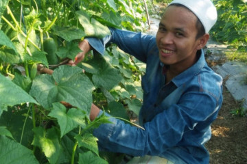 Mendorong kemandirian ekonomi pesantren