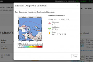 Gempa 4,7 magnitudo landa Ransiki, Manokwari Selatan