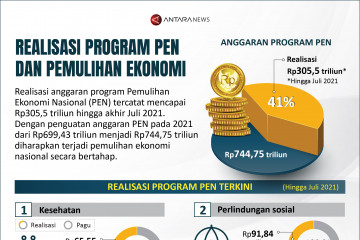 Realisasi program PEN dan pemulihan ekonomi nasional