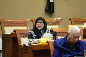 Anggota DPR: Orang pribadi tidak boleh jadi subjek pajak karbon