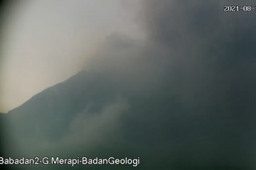 Gunung Merapi meluncurkan awan panas guguran sejauh 3,5 km