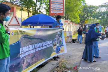 Mahasiswa UNM bagikan ratusan pohon sambut HUT Kemerdekaan