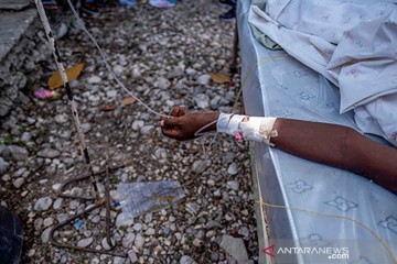 Korban tewas gempa Haiti capai 724 orang