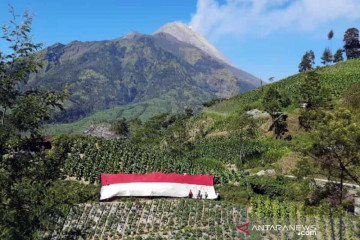 Bendera Merah Putih dibentangkan di lereng Merbabu-Merapi pada HUT RI