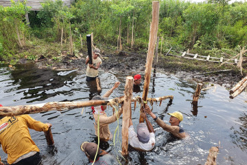 BRGM libatkan masyarakat dalam kegiatan restorasi gambut dan mangrove