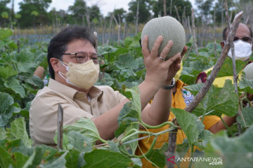 Airlangga apresiasi terobosan Pemda Kalsel bantu isoman COVID-19