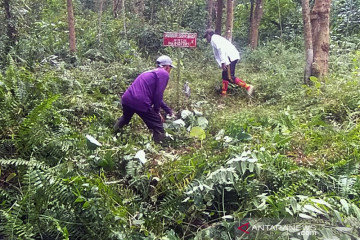 BRGM optimalkan sumur bor untuk pembasahan lahan gambut cegah karhutla