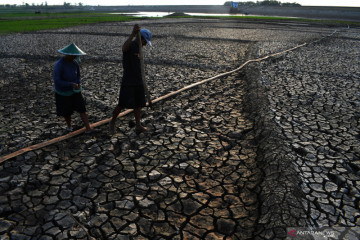 Petani manfaatkan waduk kering untuk bercocok tanam